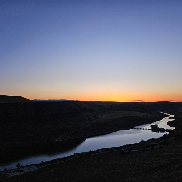 Meet your Posher, Zina - Picture 1 of 1